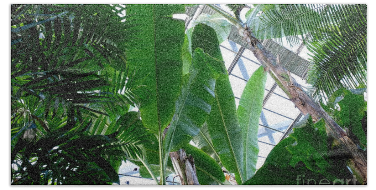 Banana Leaves In The Greenhouse By Marina Usmanskaya Beach Sheet featuring the photograph Banana leaves in the greenhouse by Marina Usmanskaya