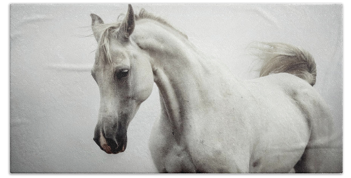 Horse Beach Towel featuring the photograph Beautiful White Horse on The White Background by Dimitar Hristov