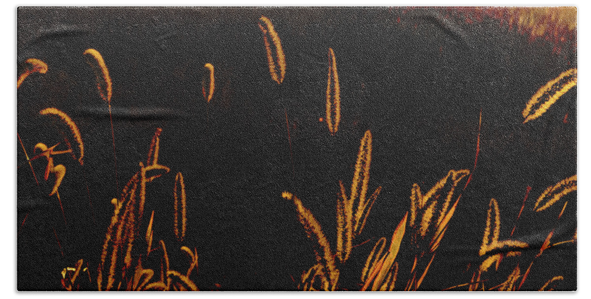 Weeds Beach Towel featuring the photograph Beauty in Weeds by Randy J Heath