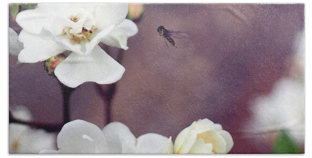 Bee Beach Towel featuring the photograph Bee in Flight by C Winslow Shafer