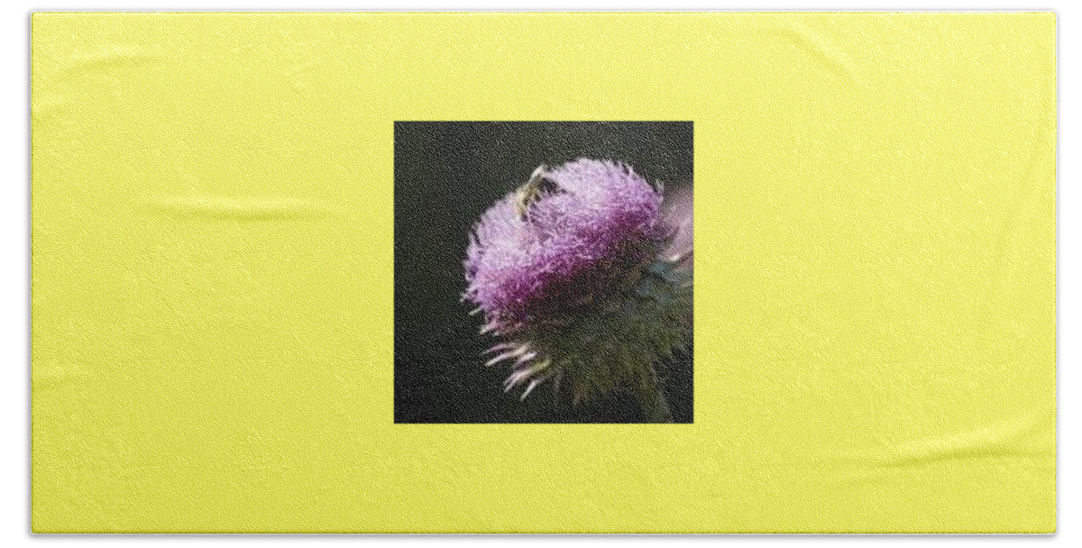 Bee Beach Sheet featuring the photograph Bee On Thistle by Nancy Ayanna Wyatt