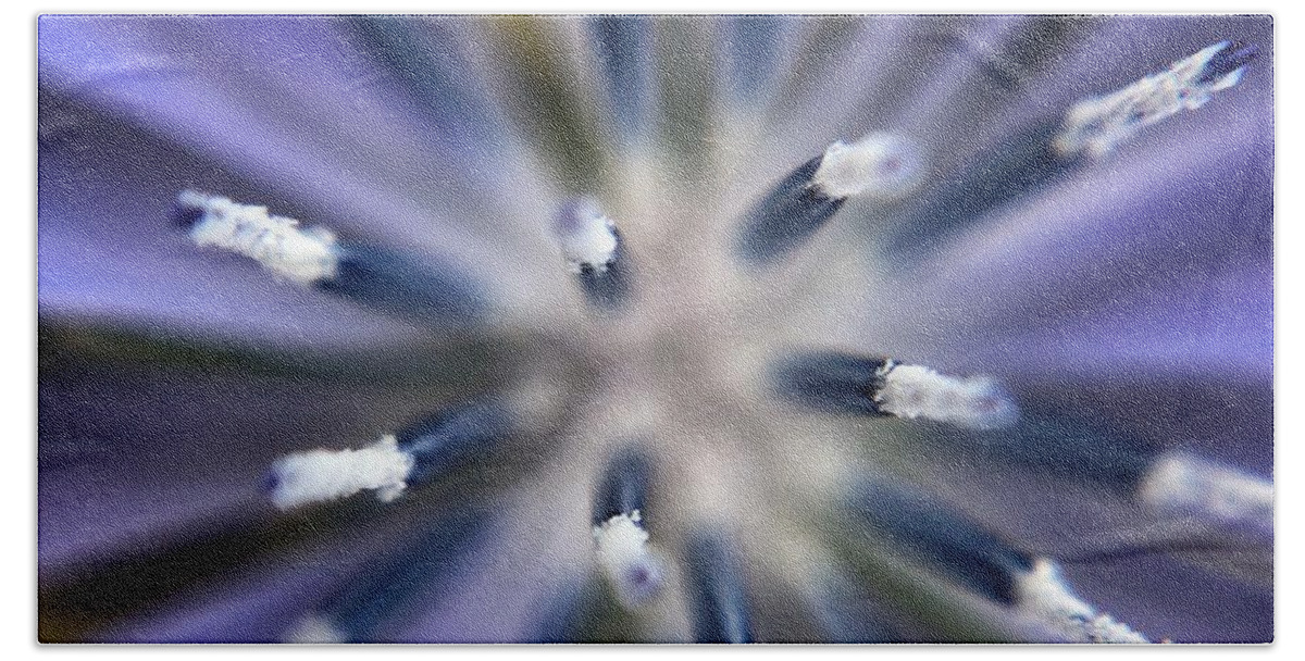Extreme Closeup Beach Towel featuring the photograph Bergamot Flower Closeup by Jori Reijonen