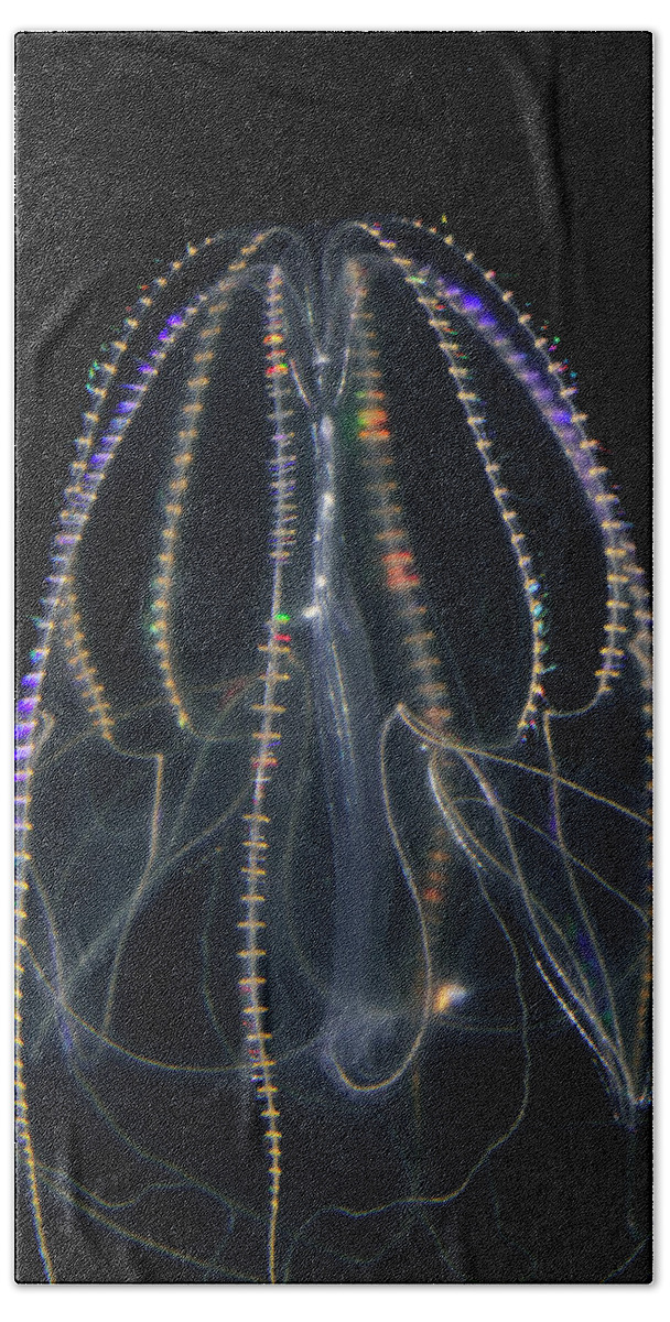 00650590 Beach Towel featuring the photograph Bioluminescent Comb Jelly 2 by Hiroya Minakuchi