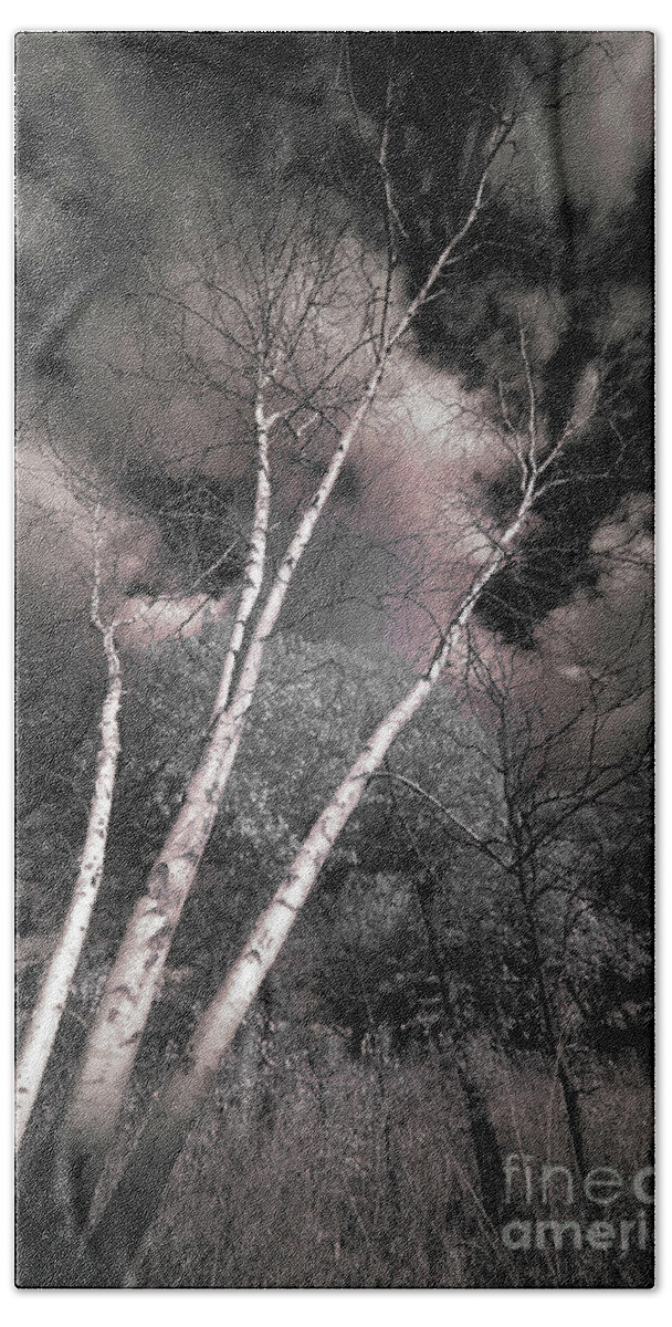 Atmospheric Phenomenon Beach Towel featuring the photograph Birch Trees by Bill Frische