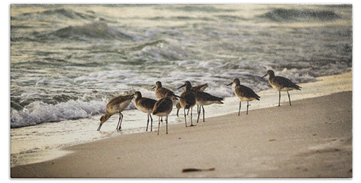 Florida Beach Sheet featuring the photograph Birds on the Beach by Doug Camara