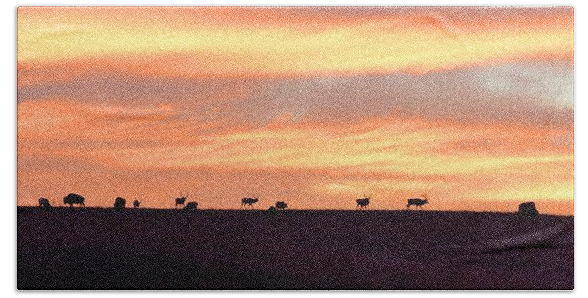 Bison Beach Towel featuring the photograph Bison Elk Panorama by Keith Stokes