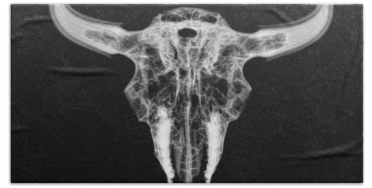 Kansas Beach Towel featuring the photograph Bison skull x-ray 01bw by Rob Graham