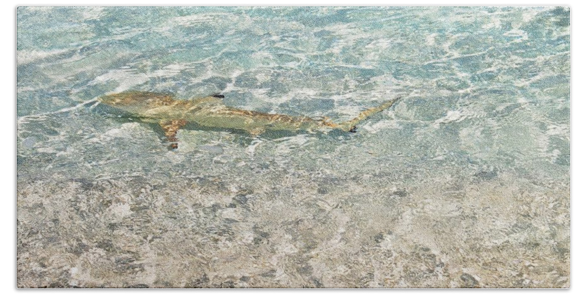 Jenny Rainbow Fine Art Photography Beach Towel featuring the photograph Blacktip Reef Shark in Sparkling Water by Jenny Rainbow