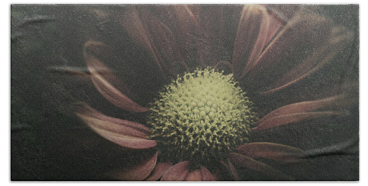 Daisy Beach Towel featuring the photograph Blossom in the Darkness by Scott Norris