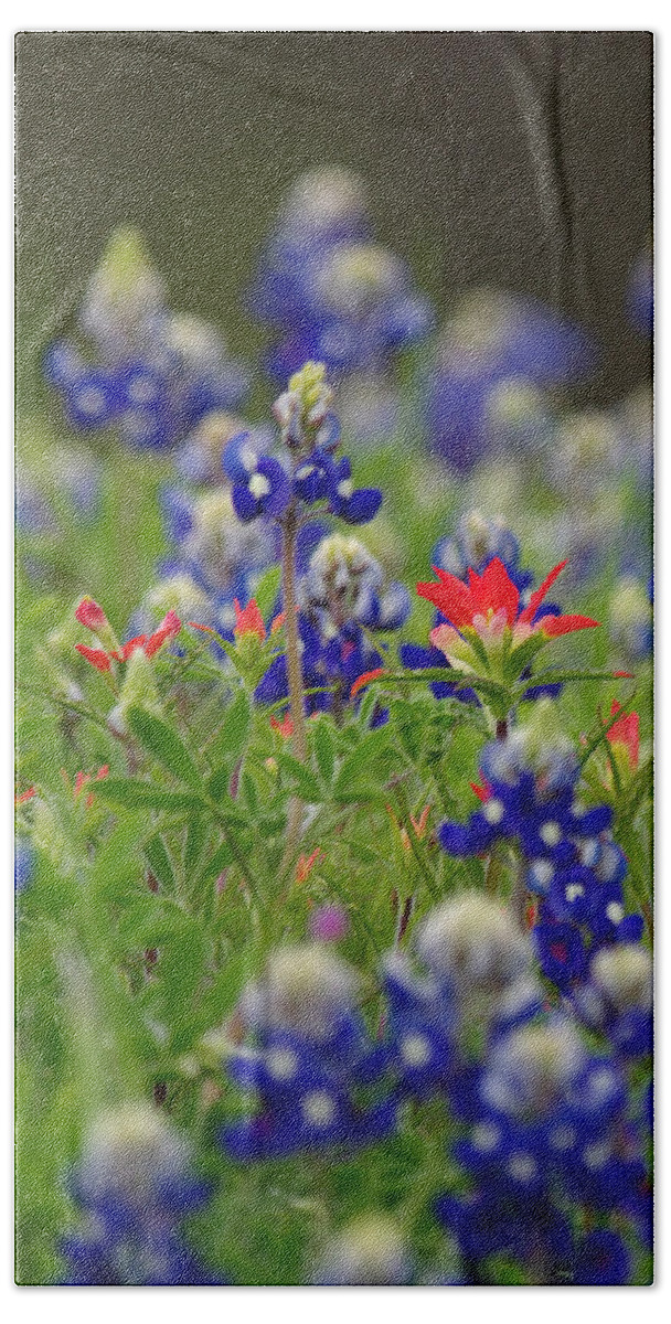 Red Beach Towel featuring the photograph Blue Bonnets and a Paintbrush by Amanda Smith