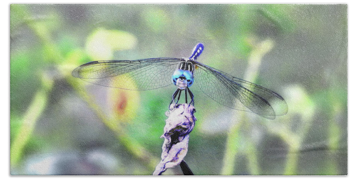 Dragonfly Beach Towel featuring the photograph Blue Dasher by Scott Cameron