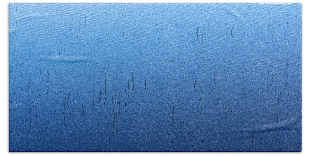 Reed Beach Towel featuring the photograph Blue Hour Reeds on a Pond by William Dickman