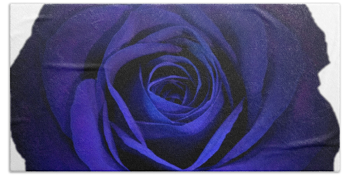Blue Beach Towel featuring the photograph Blue Rose Flower Photograph Best for Shirts by Delynn Addams