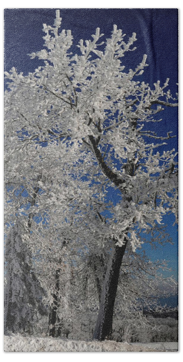 Winter Beach Towel featuring the photograph Blue Skies In Winter by Lois Bryan