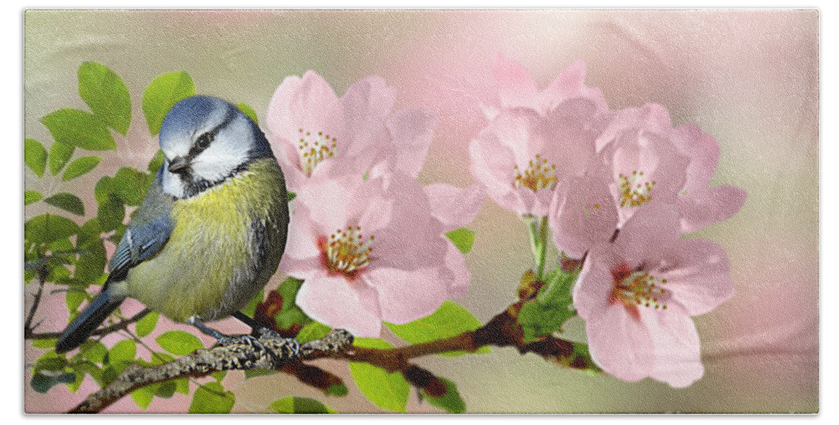 Blue Tit Beach Sheet featuring the pyrography Blue Tit on Apple Blossom by Morag Bates