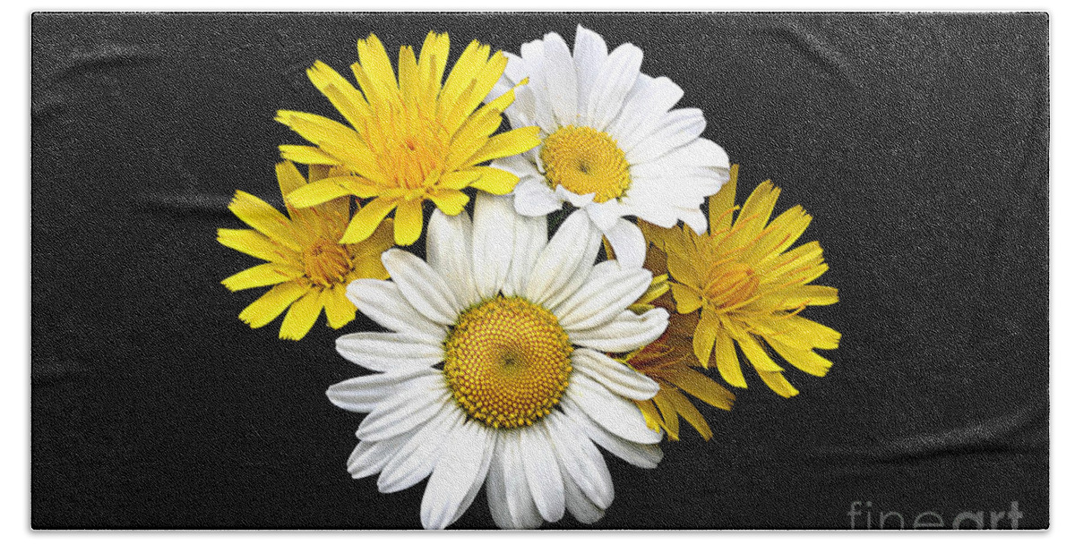 Close Up Beach Towel featuring the photograph bouquet Ox-eye Daisy and Seaside Dandelion by Robert C Paulson Jr