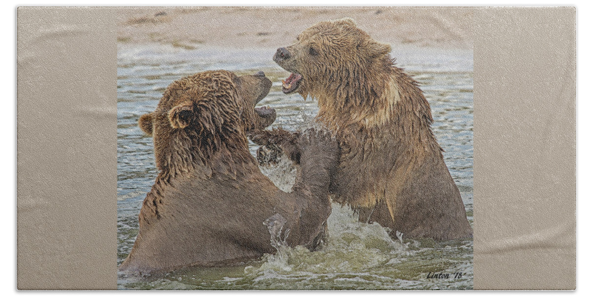 Brown Bears Beach Sheet featuring the digital art Brown Bears Fighting by Larry Linton