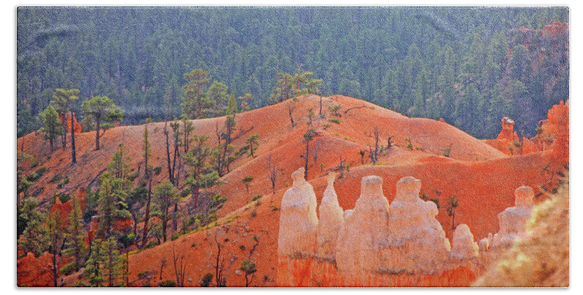 Bryce Canyon Red Rock Hoodoos Trees Mountains Beach Towel featuring the photograph Bryce Canyon red rock hoodoos trees mountains 6559 by David Frederick