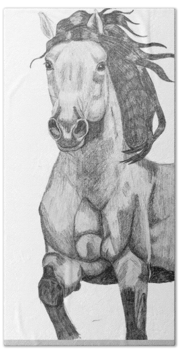 Paint Horse Beach Towel featuring the drawing Buckskin horse portrait by Equus Artisan