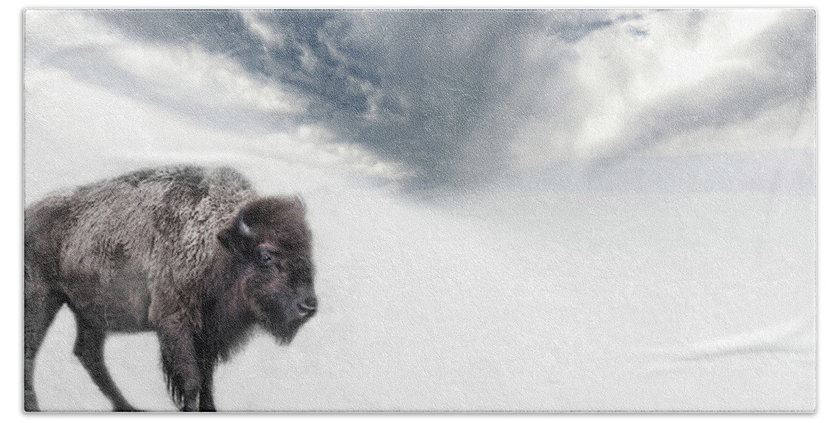 Evie Beach Towel featuring the photograph Buffalo Winter by Evie Carrier