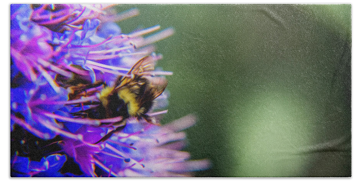 Bee Beach Sheet featuring the photograph Busy bee 2 by Stuart Manning