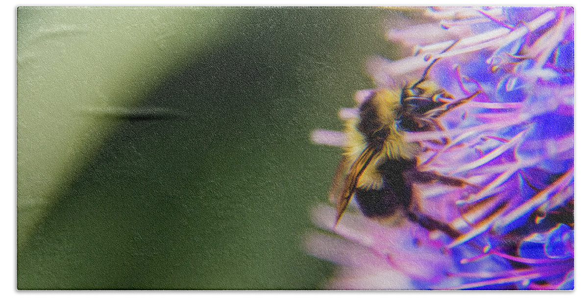 Bee Beach Towel featuring the photograph Busy bee by Stuart Manning