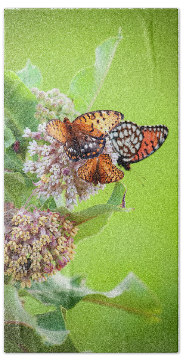 Chase County Beach Sheet featuring the photograph Butterfly Buffet II by Jeff Phillippi