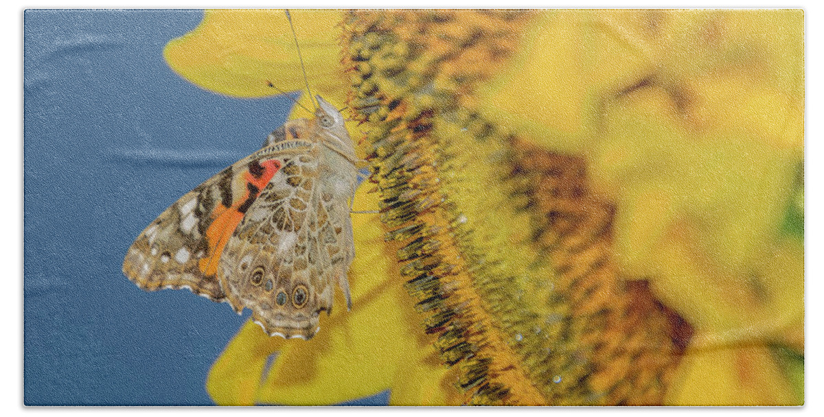 Cheryl Baxter Photography Beach Towel featuring the photograph Butterfly on Sunflower by Cheryl Baxter