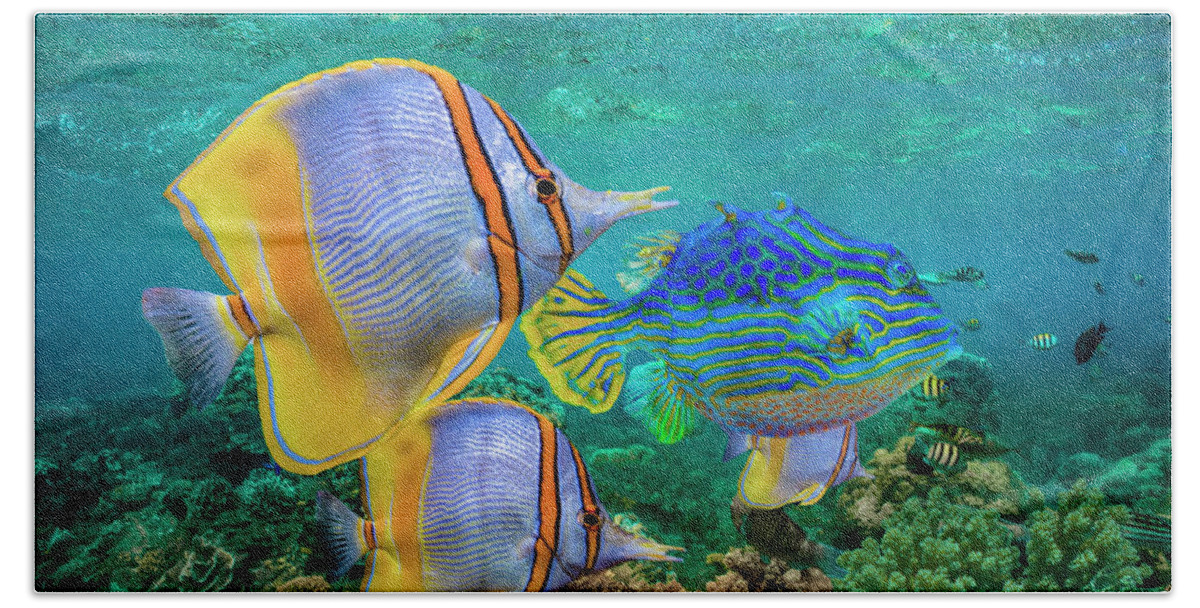 00586403 Beach Towel featuring the photograph Butterflyfish And Horned Boxfish, Coral Coast, Australia by Tim Fitzharris