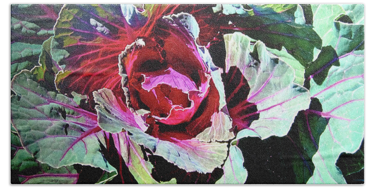 Still-life Beach Towel featuring the painting Cabbage by John Dyess