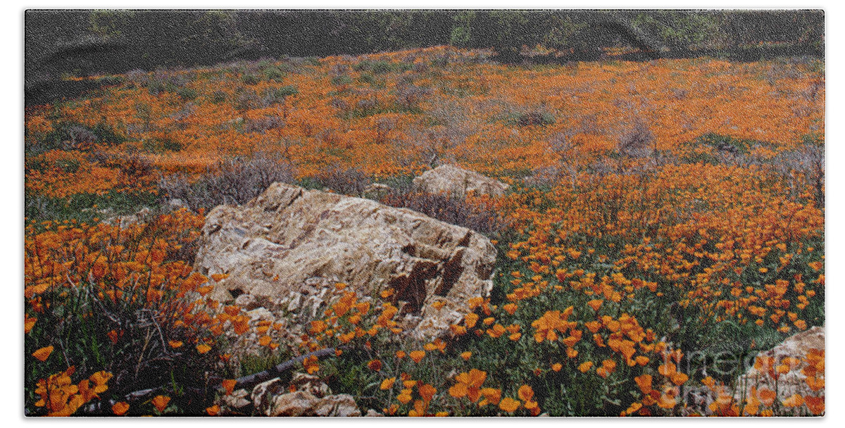 Flowers Beach Towel featuring the photograph California Poppys-Signed by J L Woody Wooden