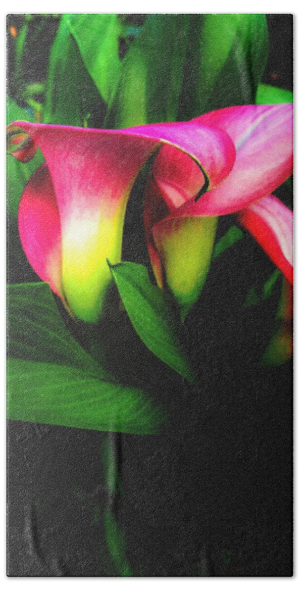 Calla Lily Blush Beach Towel featuring the photograph Calla Lily Blush by Christina Ford