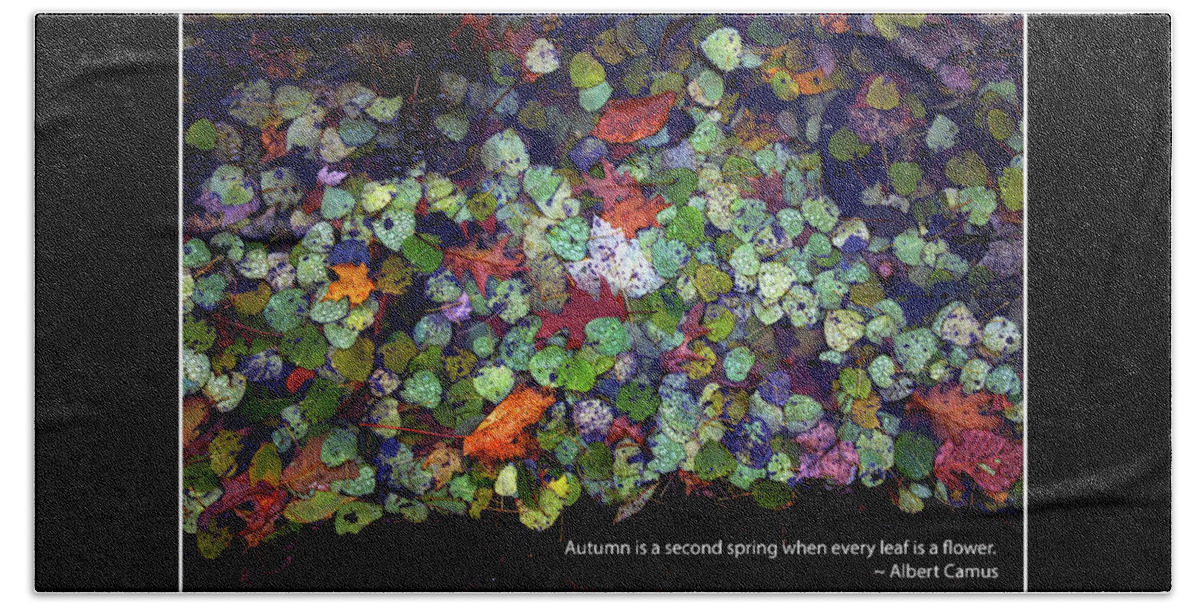 Aspen Beach Towel featuring the photograph Camus Aspen Puddle Autumn Poster by Wayne King