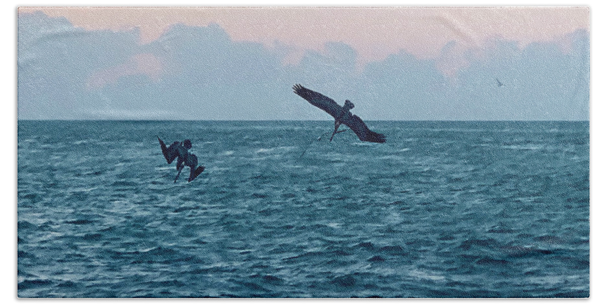 Birds Beach Towel featuring the photograph Captiva Island Sunset Seagulls Feast 4 by Shelly Tschupp