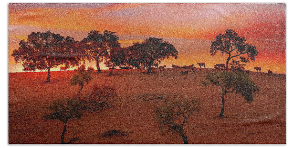 Cattle Beach Towel featuring the photograph Cattle at dusk by Micah Offman