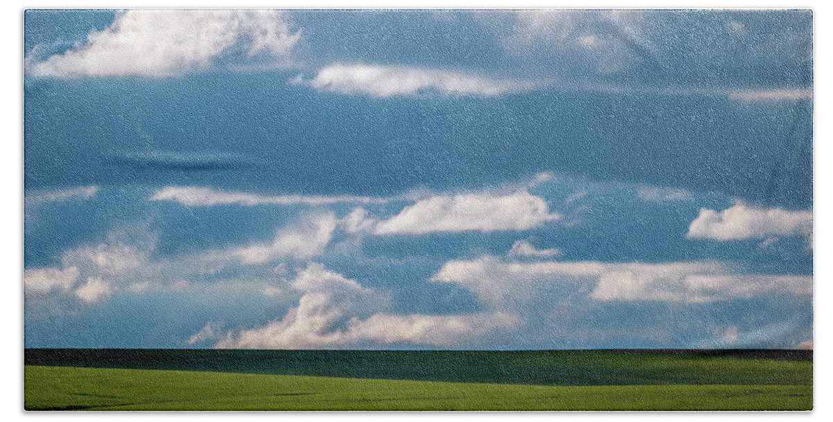 Cattle Beach Towel featuring the photograph Cattle on the Flint Hills Prairie by Jeff Phillippi
