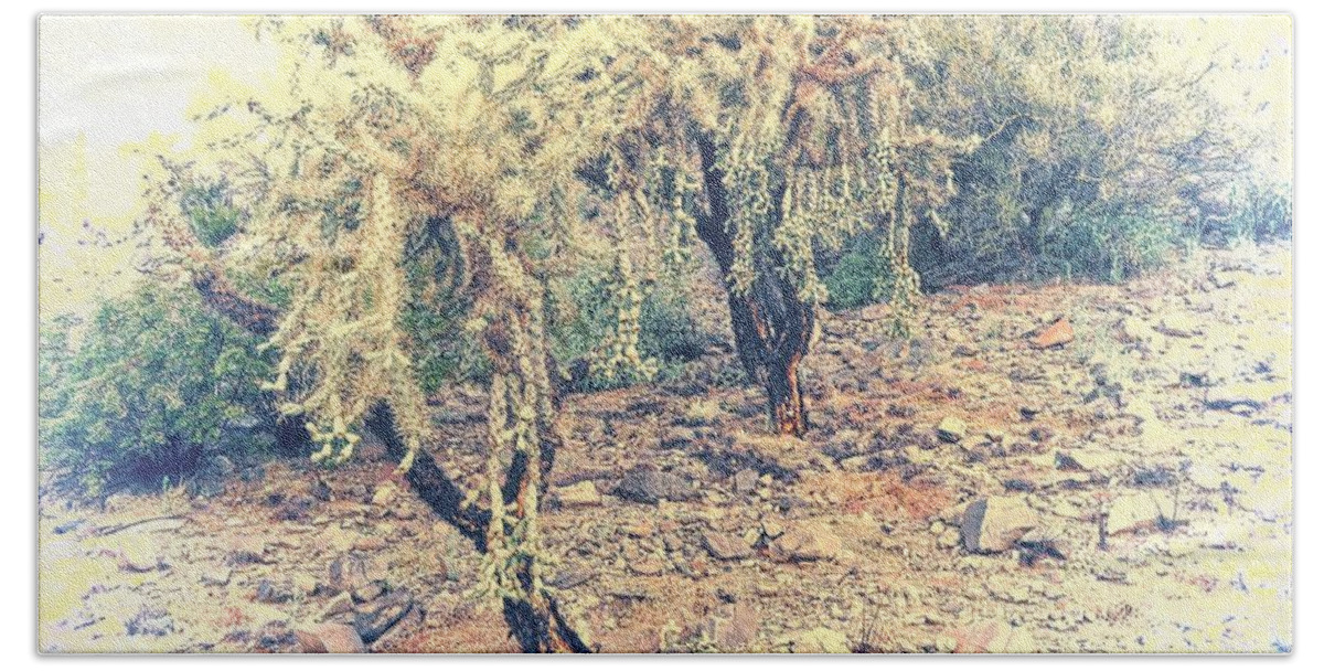 Affordable Beach Towel featuring the photograph Chain Fruit Cholla by Judy Kennedy