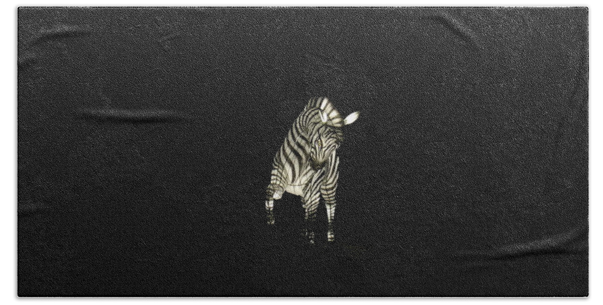 Zebra Beach Towel featuring the photograph Christmas At The Living Desert Zoo - Zebra by Colleen Cornelius