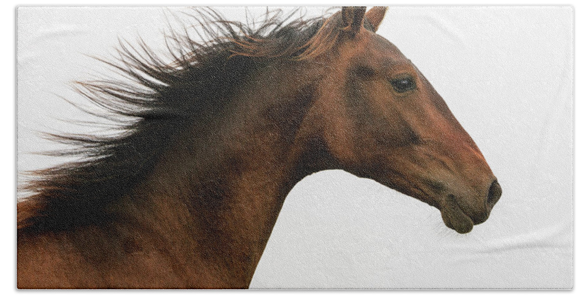 Heike Odermatt Beach Towel featuring the photograph Close-up Horse Running by Heike Odermatt