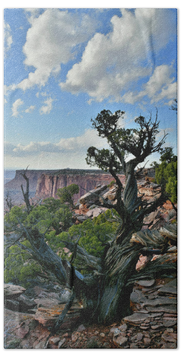 Canyonlands National Park Beach Towel featuring the photograph Clouds over Canyonlands National Park by Ray Mathis