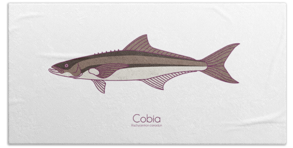Cobia Beach Towel featuring the digital art Cobia by Kevin Putman