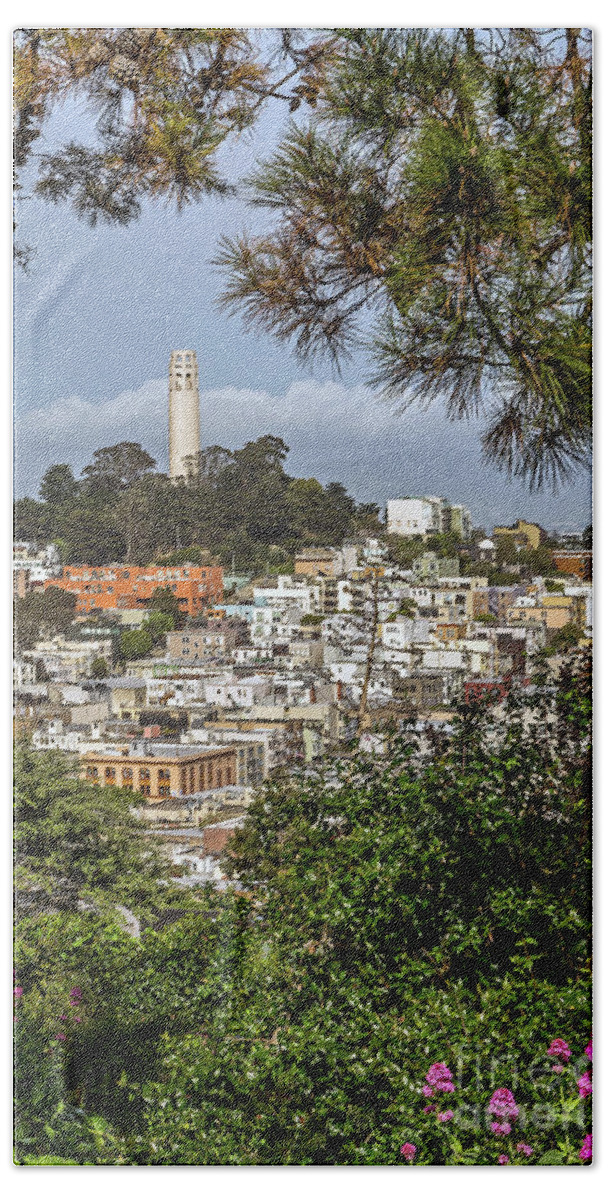 Coit Tower Beach Towel featuring the photograph Coit Tower Through Trees by Kate Brown