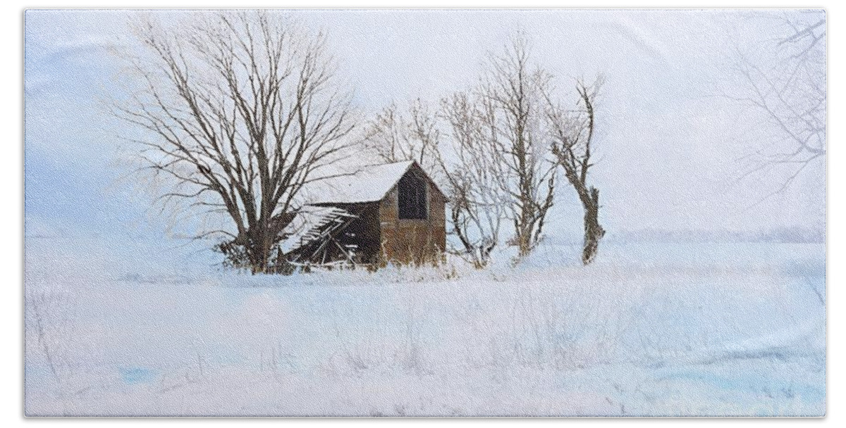Photography Beach Sheet featuring the photograph Cold and Lonely by Larry Ricker
