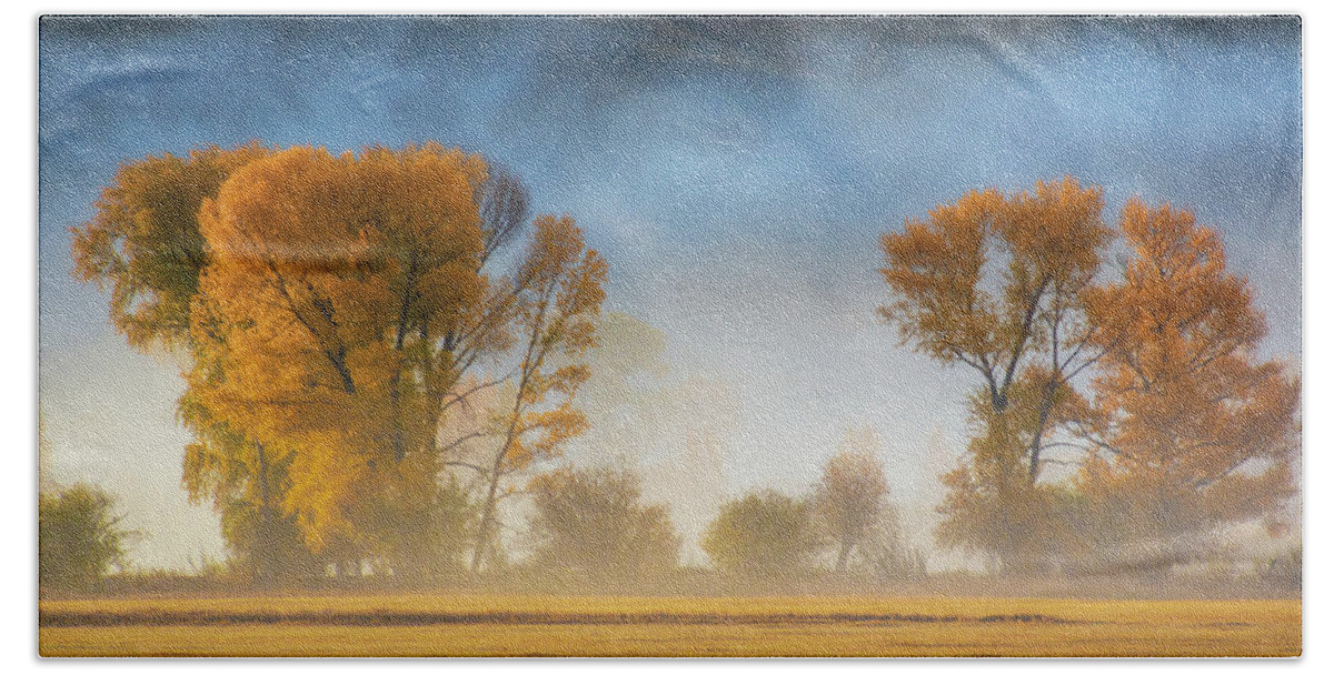 Autumn Beach Sheet featuring the photograph Colorado Autumn Fog by John De Bord
