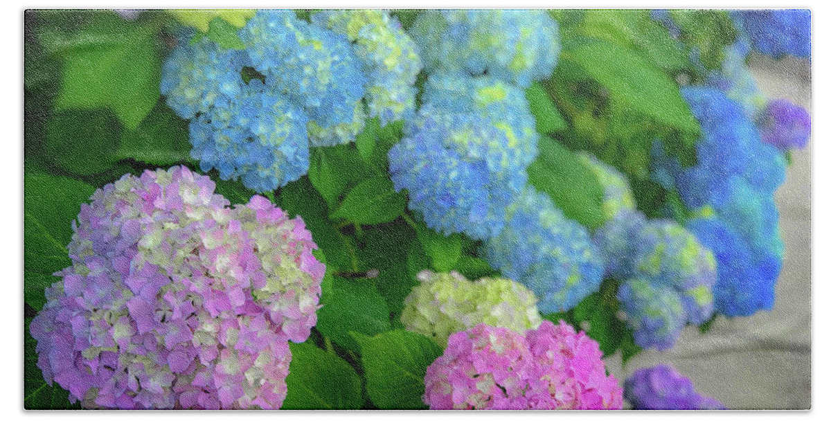 Hydrangeas Beach Sheet featuring the photograph Colorful Hydrangeas by Lora J Wilson