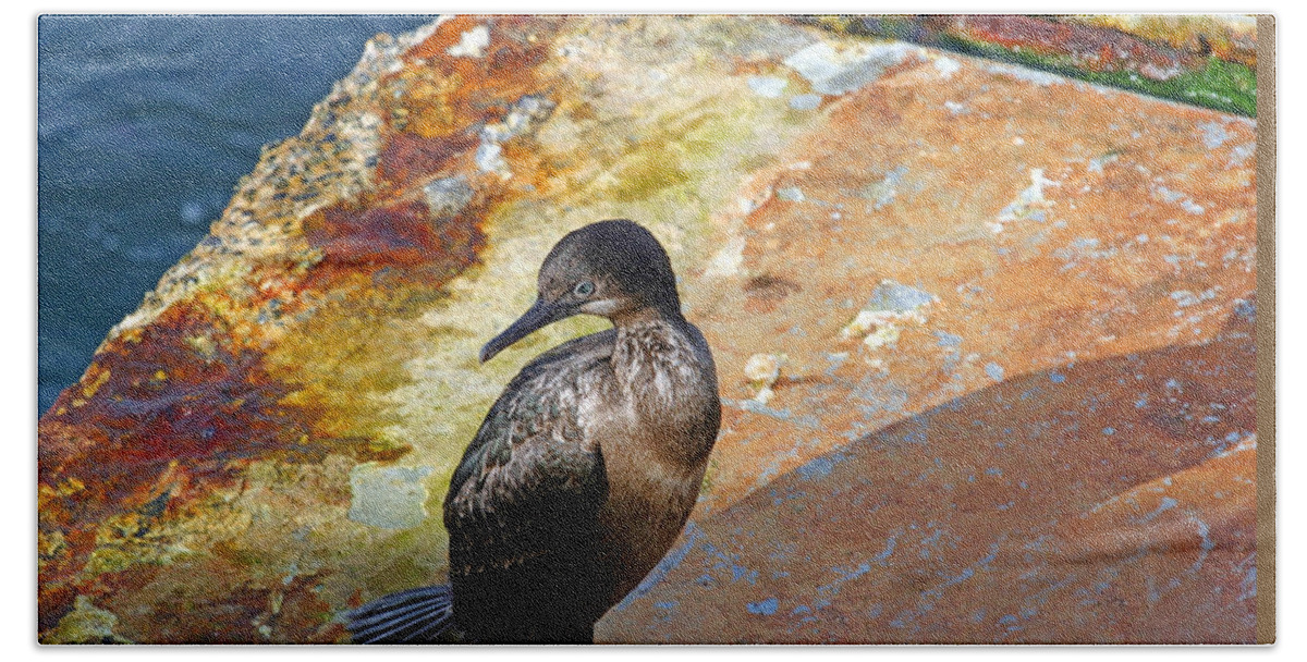 Cormorant Beach Towel featuring the photograph Double-Crested Cormorant by Anthony Jones