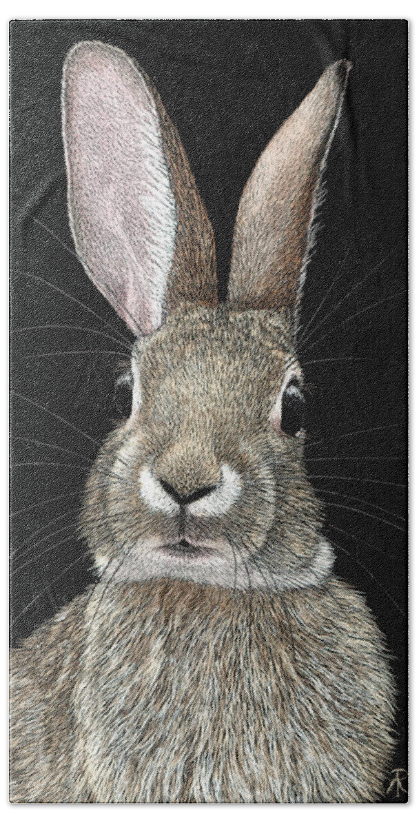 Rabbit Beach Towel featuring the drawing Cottontail by Ann Ranlett
