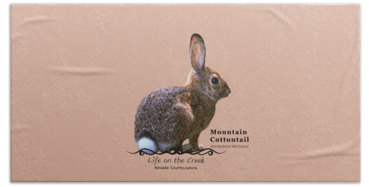 Cottontail Beach Towel featuring the digital art Cottontail Rabbit by Lisa Redfern