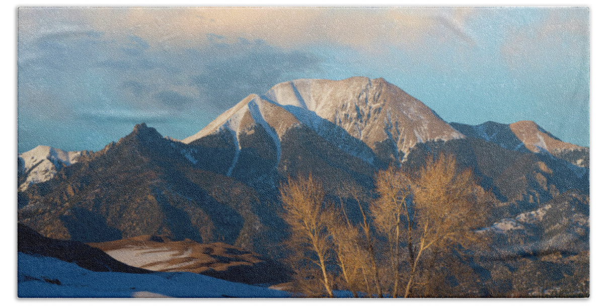 00565360 Beach Towel featuring the photograph Cottonwoods In Winter, Mount Herard, Great Sand Dunes National Park, Colorado by Tim Fitzharris