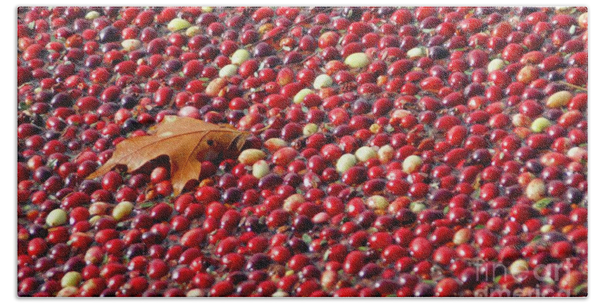 Cranberry Beach Towel featuring the photograph Cranberry Season by Amazing Jules